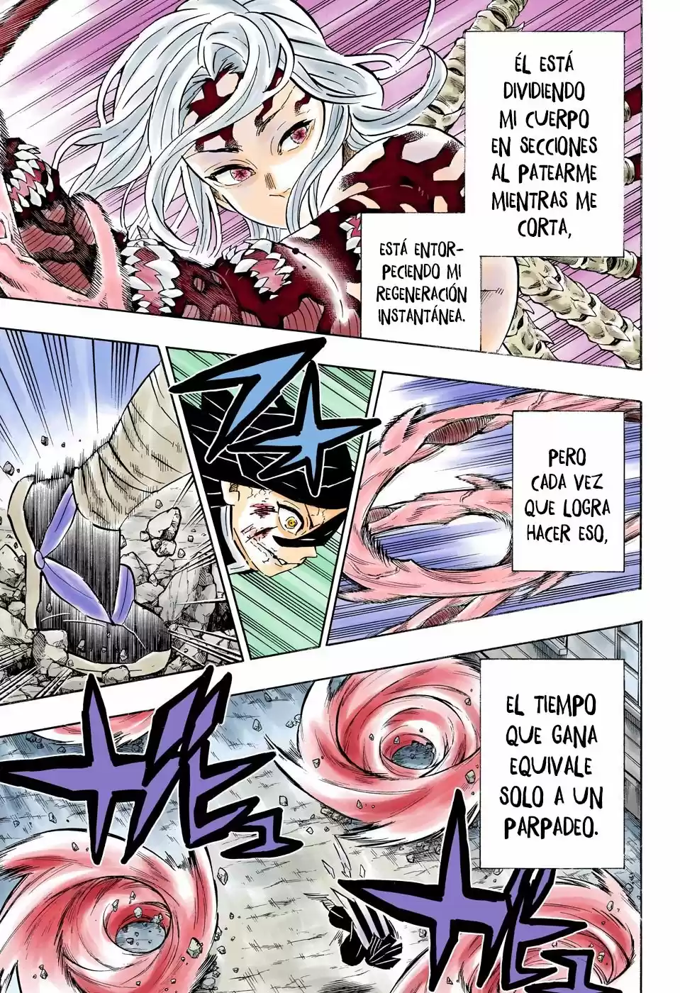 Kimetsu No Yaiba - Capítulo 189.50 - Página 6 - LectorTMOo