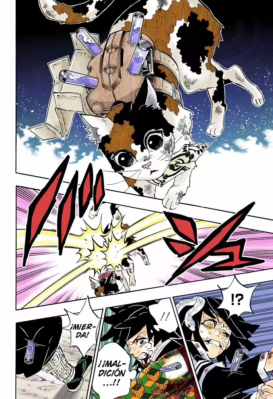 Kimetsu No Yaiba - Capítulo 189.50 - Página 12 - LectorTMOo