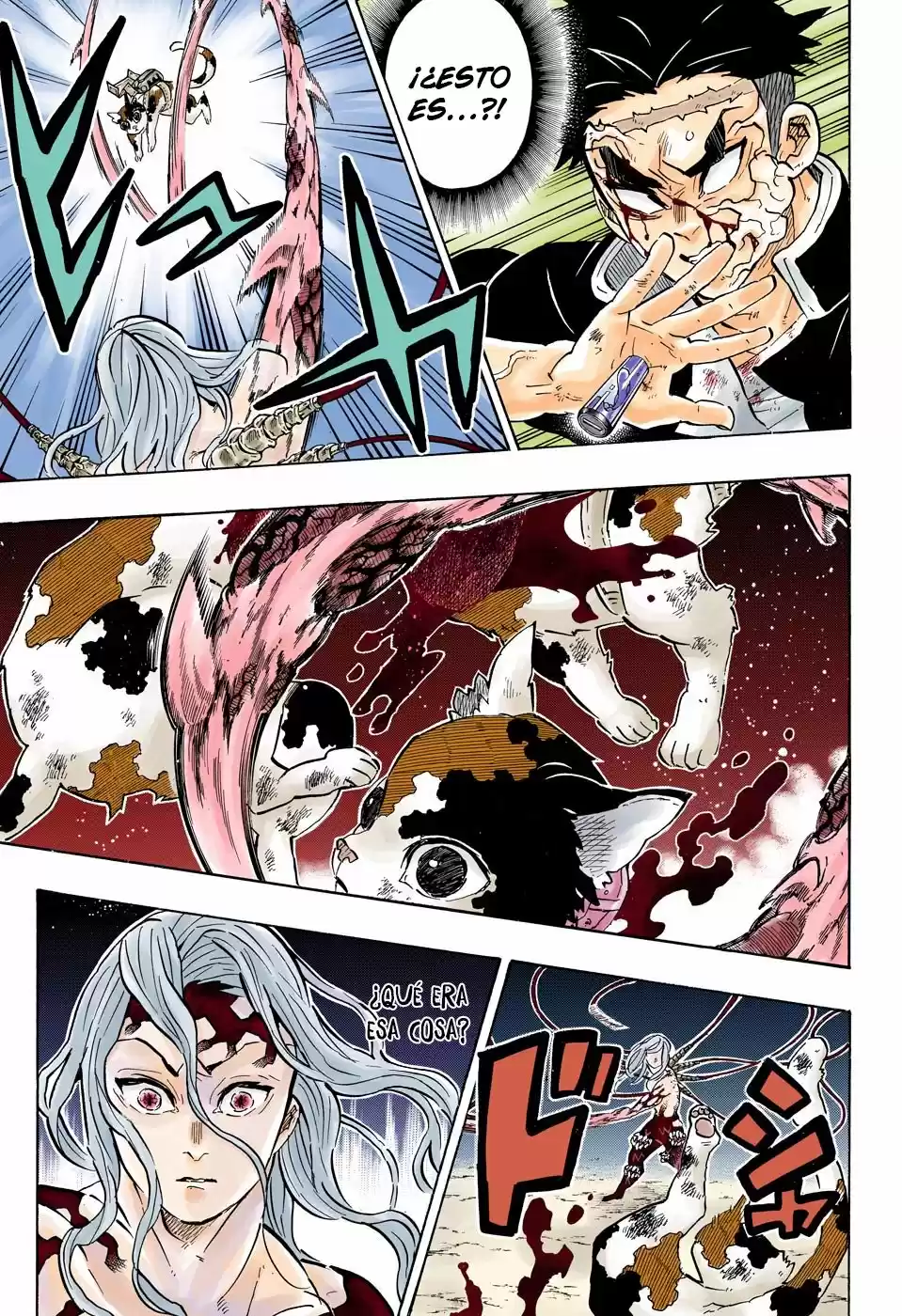 Kimetsu No Yaiba - Capítulo 189.50 - Página 13 - LectorTMOo