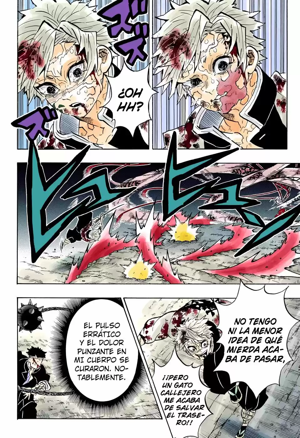 Kimetsu No Yaiba - Capítulo 189.50 - Página 14 - LectorTMOo