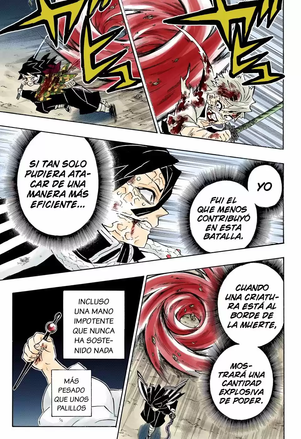 Kimetsu No Yaiba - Capítulo 189.50 - Página 17 - LectorTMOo
