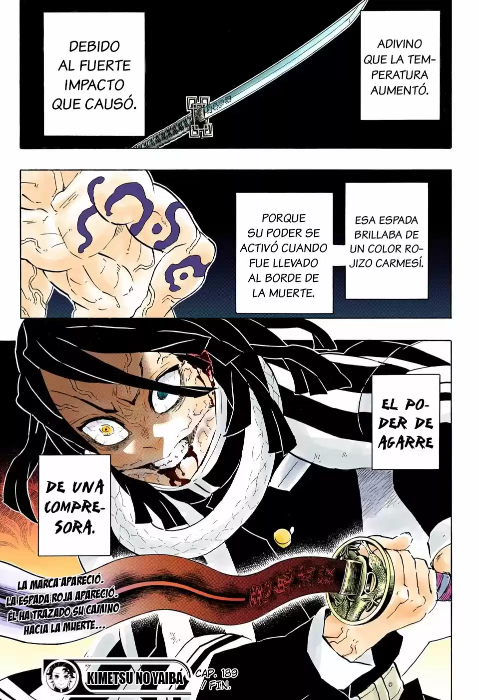 Kimetsu No Yaiba - Capítulo 189.50 - Página 19 - LectorTMOo