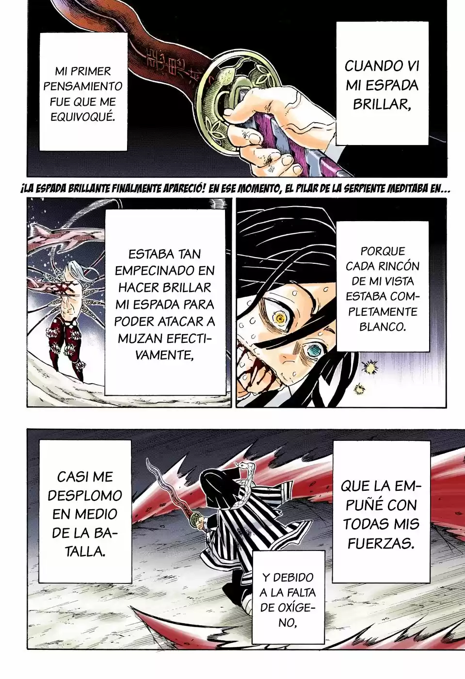 Kimetsu No Yaiba - Capítulo 190.50 - Página 3 - LectorTMOo