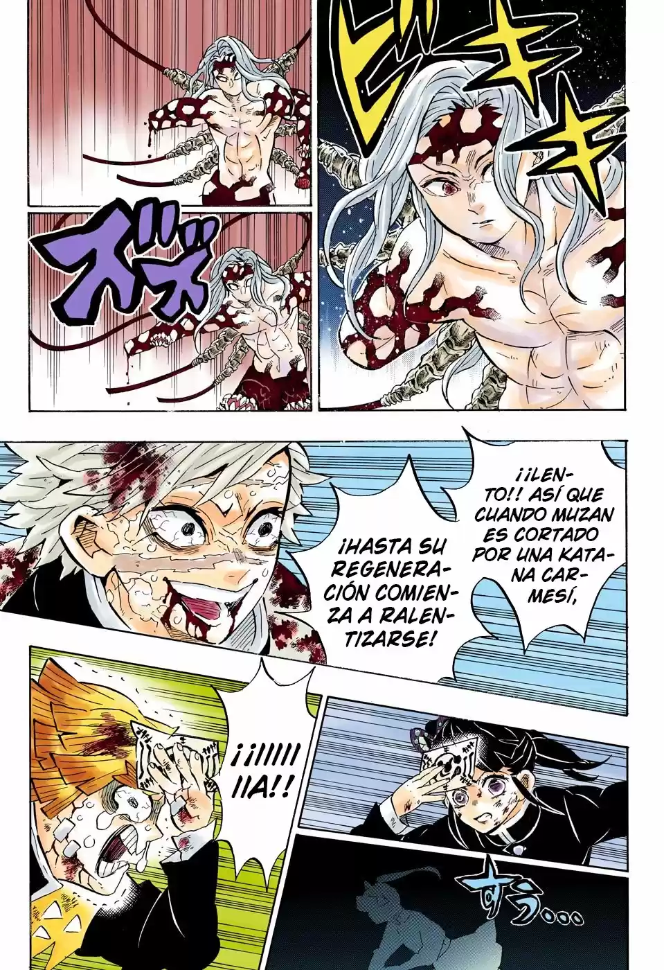 Kimetsu No Yaiba - Capítulo 190.50 - Página 14 - LectorTMOo