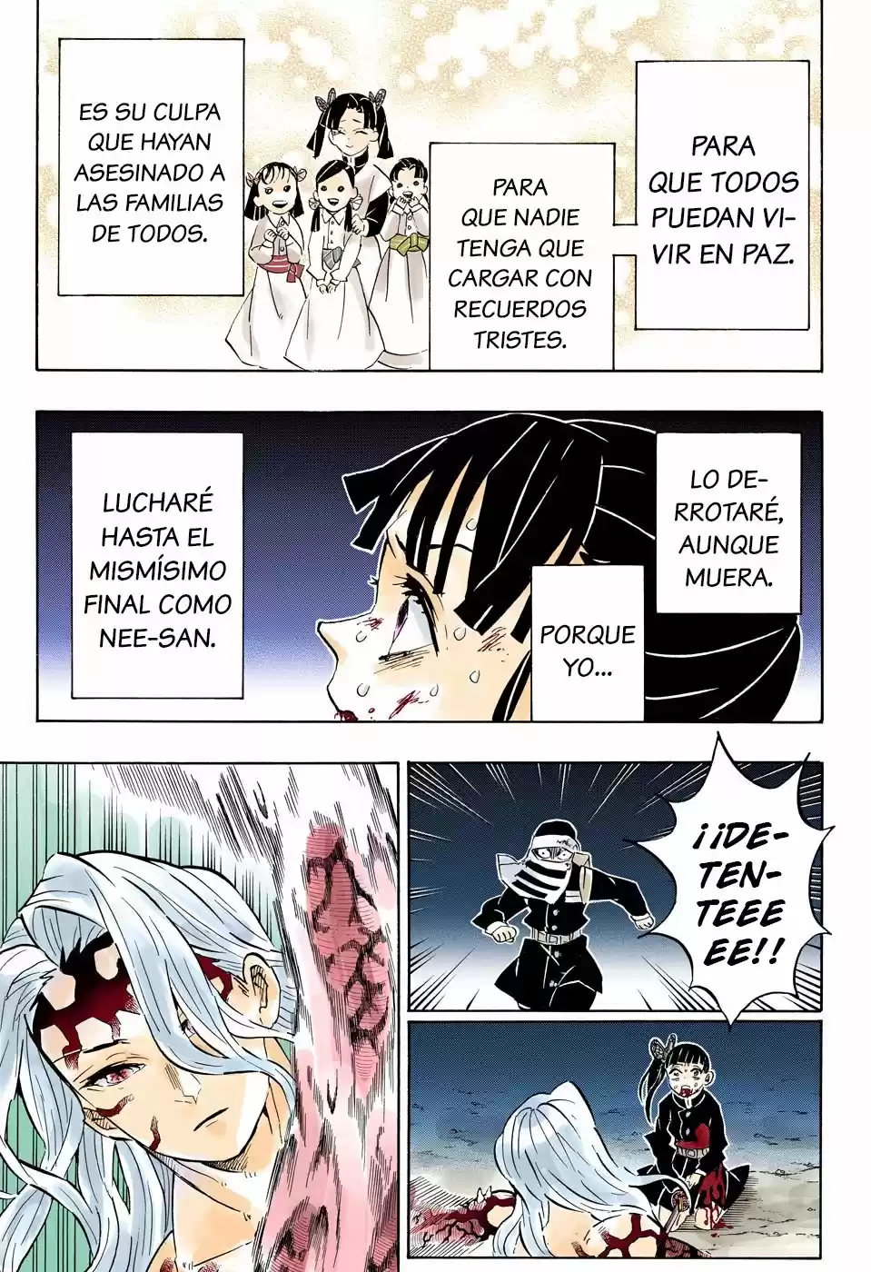 Kimetsu No Yaiba - Capítulo 191.50 - Página 17 - LectorTMOo