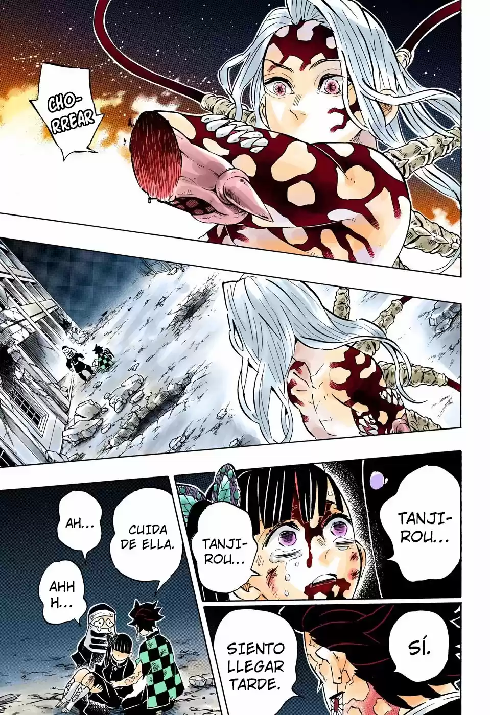 Kimetsu No Yaiba - Capítulo 191.50 - Página 19 - LectorTMOo