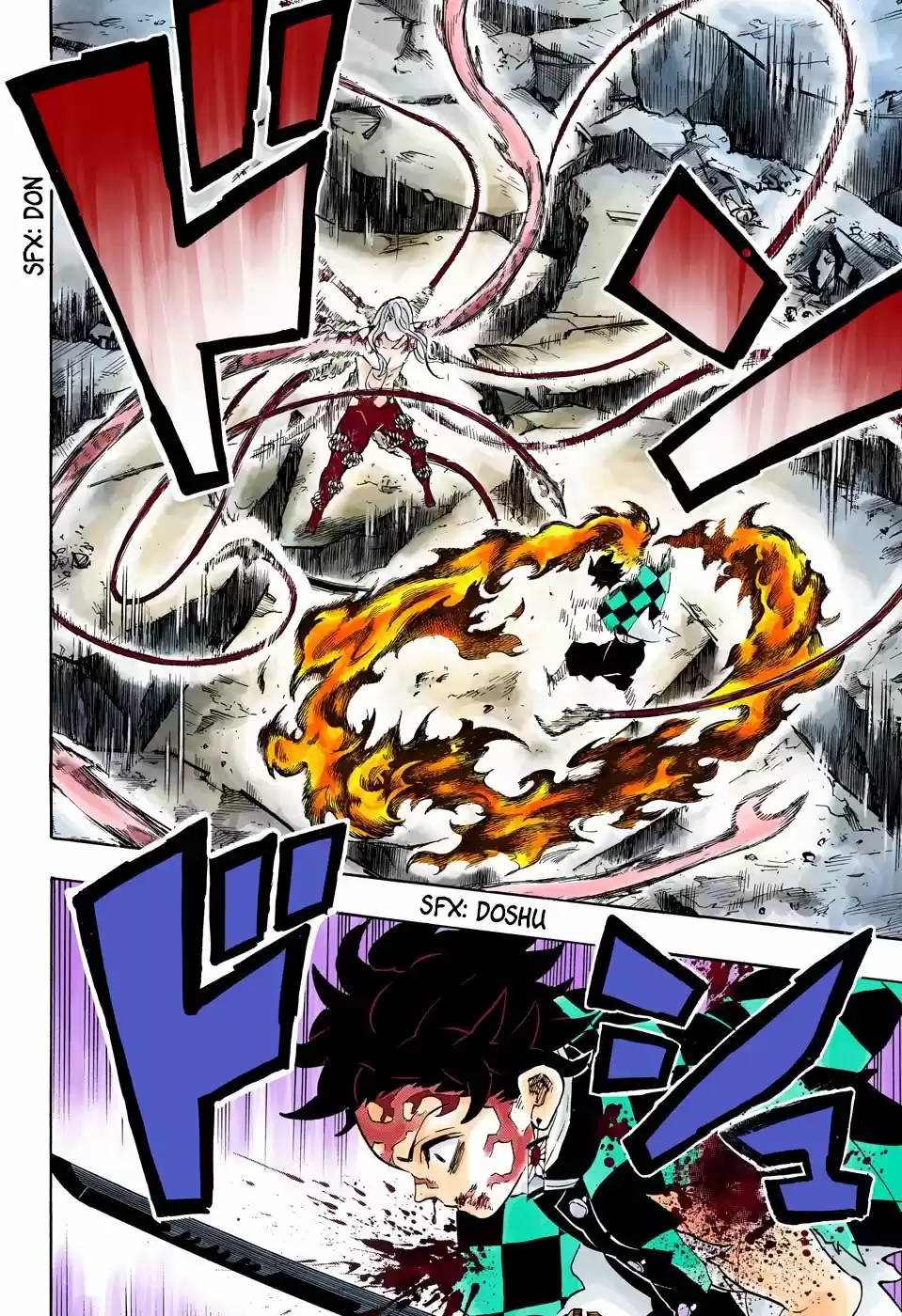 Kimetsu No Yaiba - Capítulo 192.50 - Página 17 - LectorTMOo