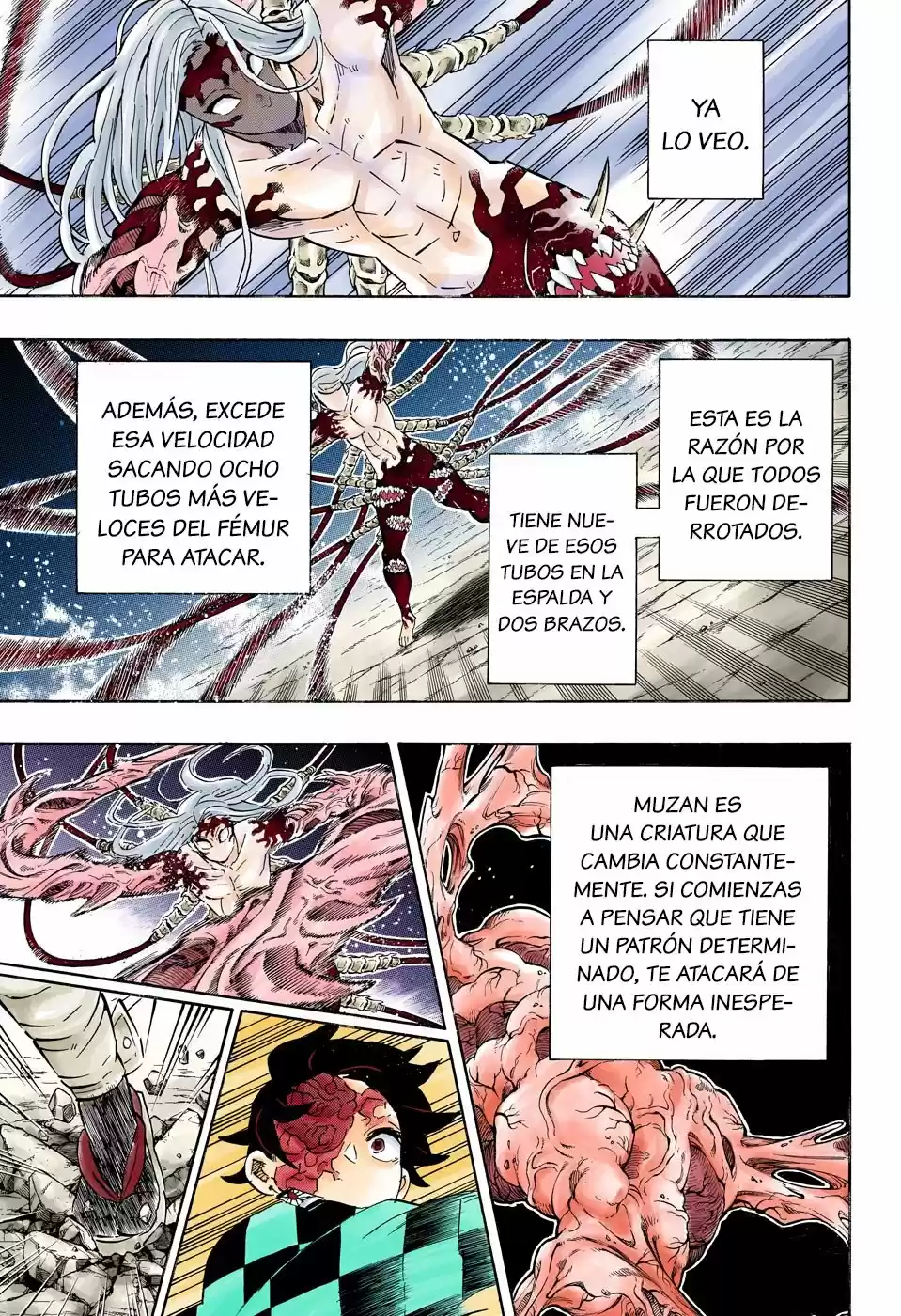 Kimetsu No Yaiba - Capítulo 192.50 - Página 18 - LectorTMOo