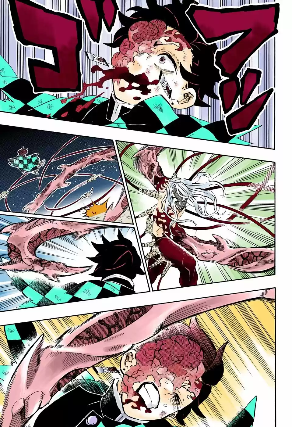 Kimetsu No Yaiba - Capítulo 193.50 - Página 11 - LectorTMOo