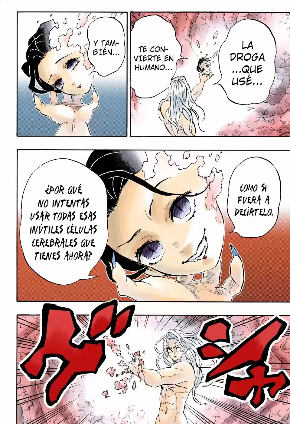 Kimetsu No Yaiba - Capítulo 193.50 - Página 16 - LectorTMOo