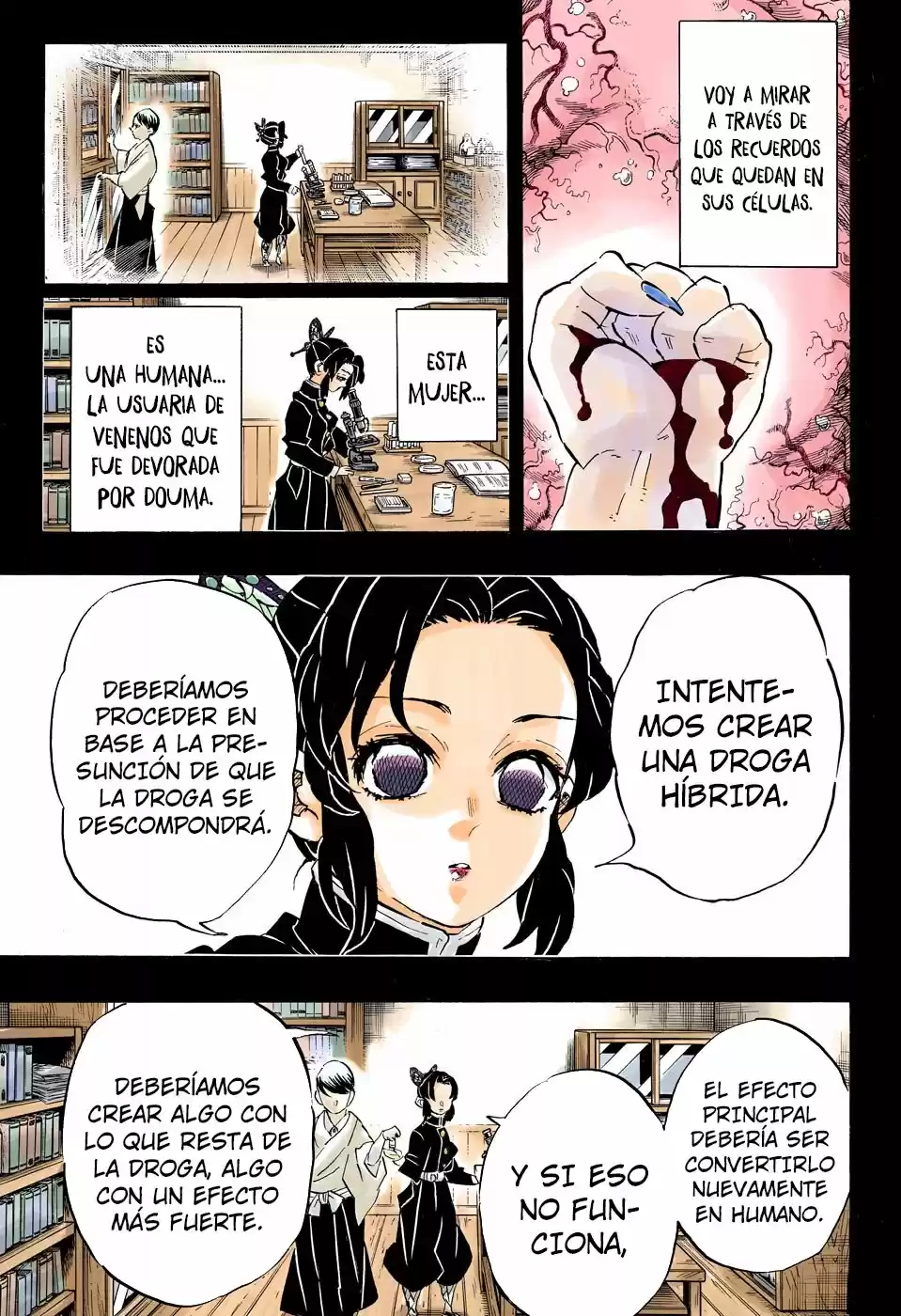 Kimetsu No Yaiba - Capítulo 193.50 - Página 17 - LectorTMOo