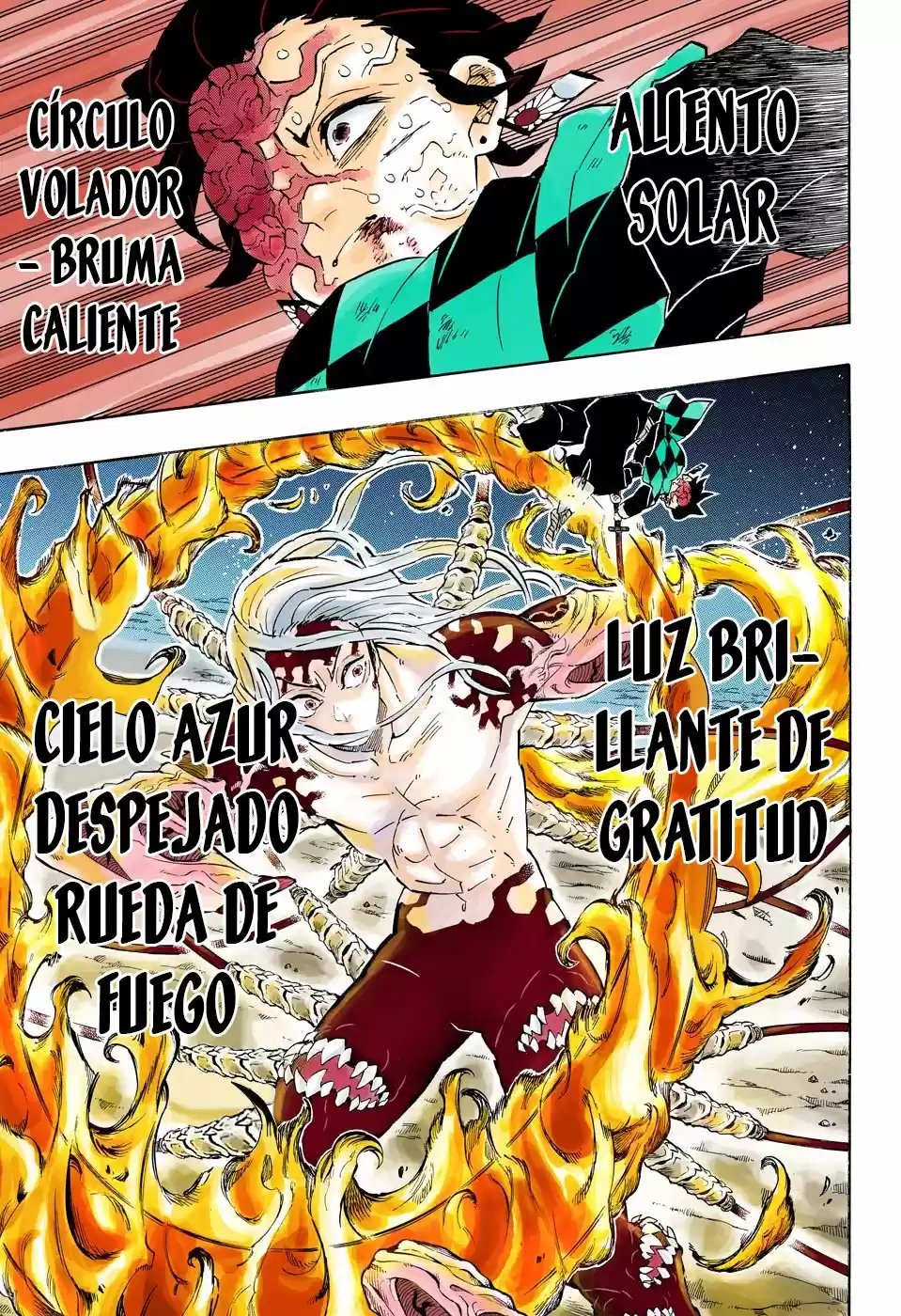 Kimetsu No Yaiba - Capítulo 193.50 - Página 21 - LectorTMOo