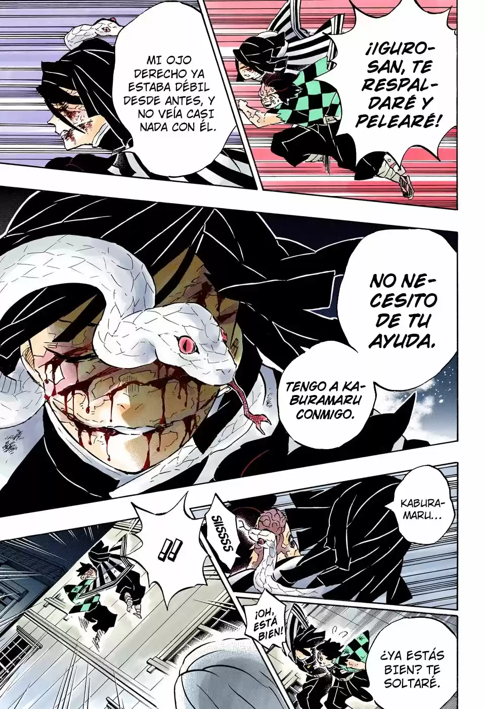 Kimetsu No Yaiba - Capítulo 194.50 - Página 5 - LectorTMOo