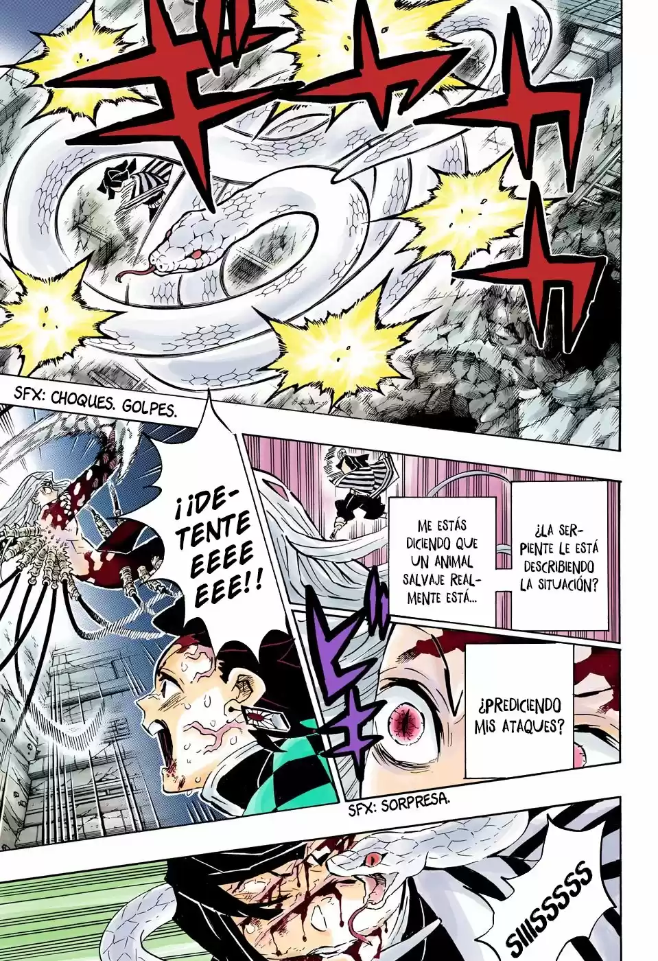 Kimetsu No Yaiba - Capítulo 194.50 - Página 9 - LectorTMOo