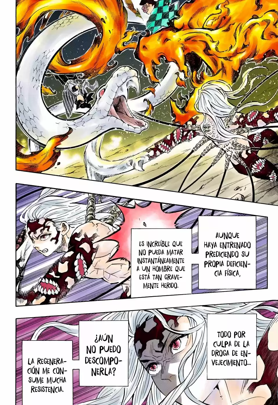Kimetsu No Yaiba - Capítulo 194.50 - Página 10 - LectorTMOo