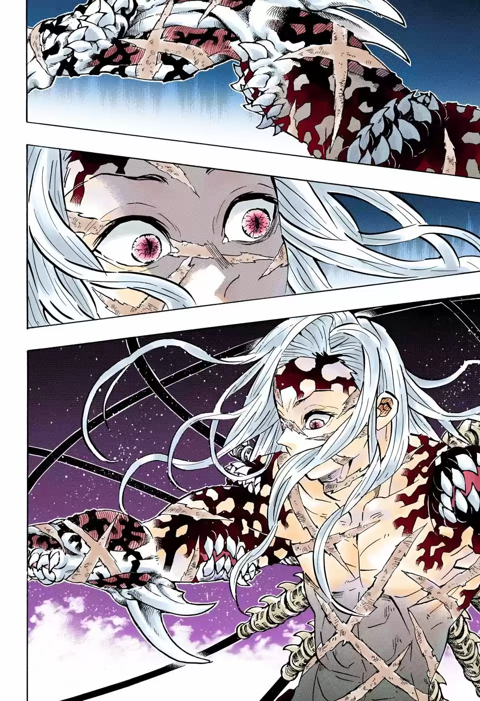 Kimetsu No Yaiba - Capítulo 194.50 - Página 12 - LectorTMOo