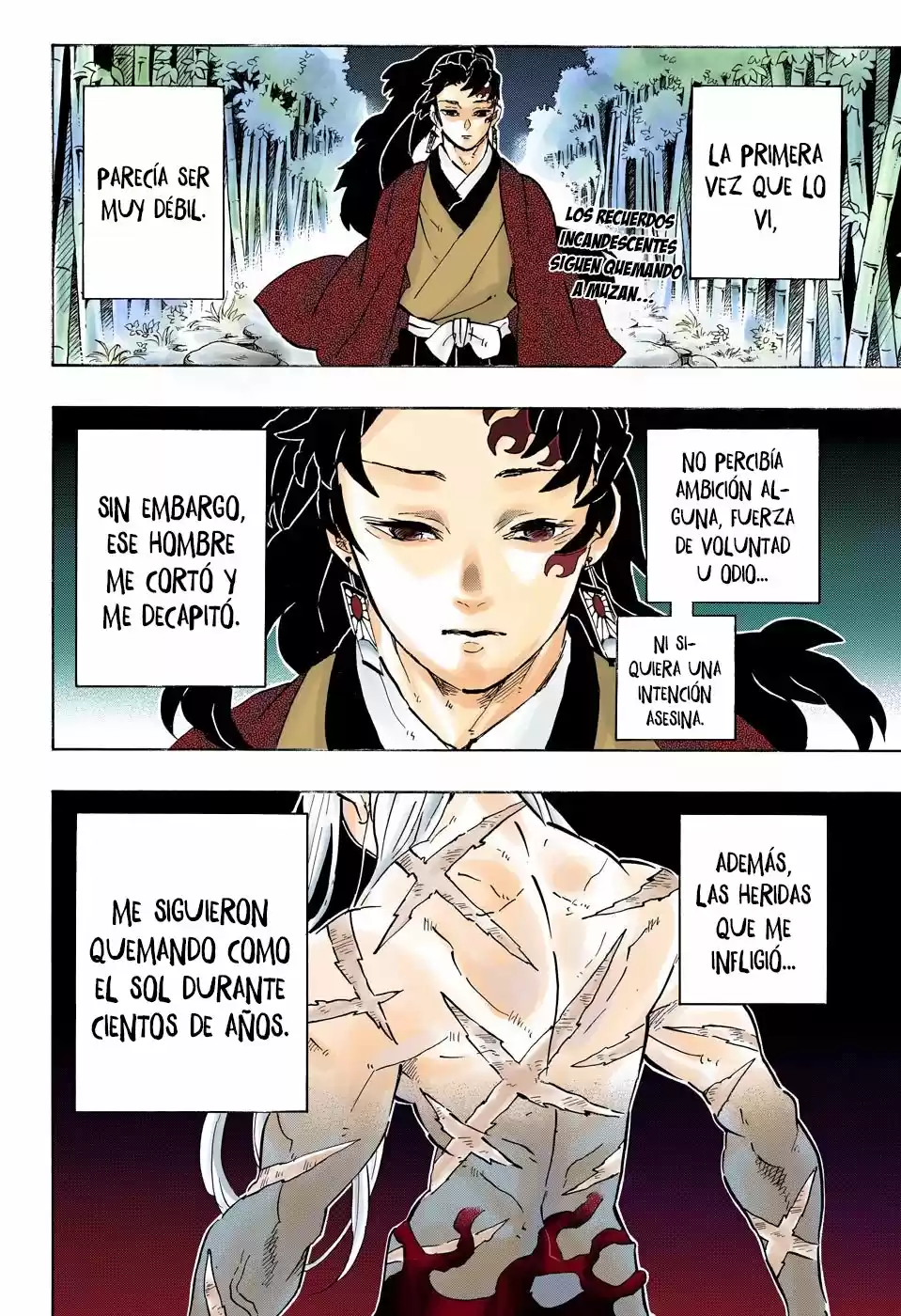 Kimetsu No Yaiba - Capítulo 195.50 - Página 3 - LectorTMOo