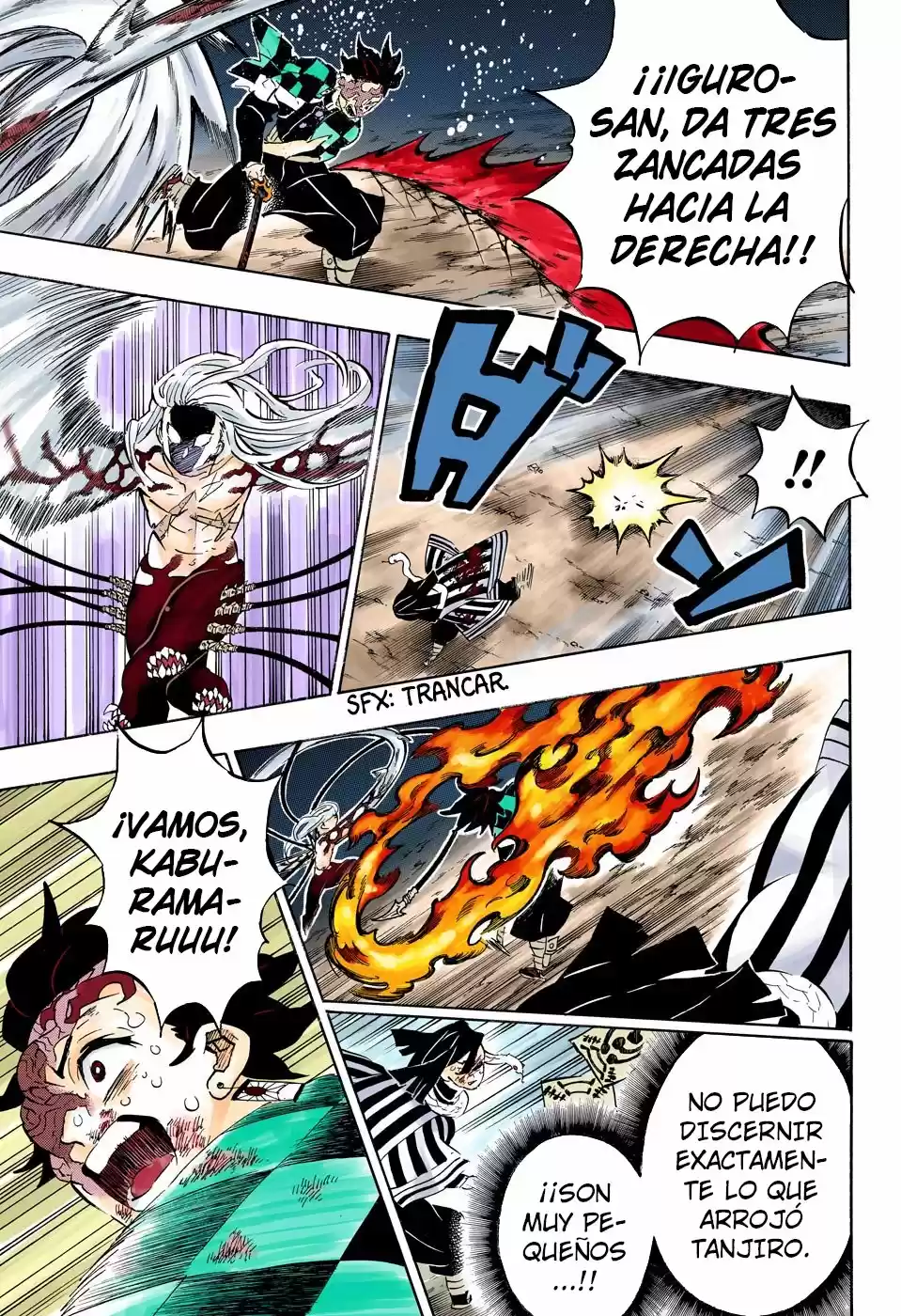 Kimetsu No Yaiba - Capítulo 195.50 - Página 16 - LectorTMOo