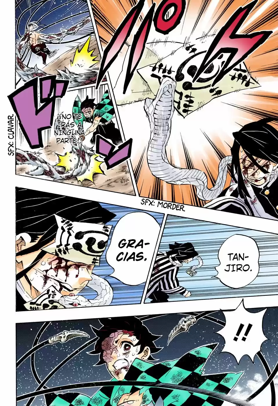 Kimetsu No Yaiba - Capítulo 195.50 - Página 17 - LectorTMOo