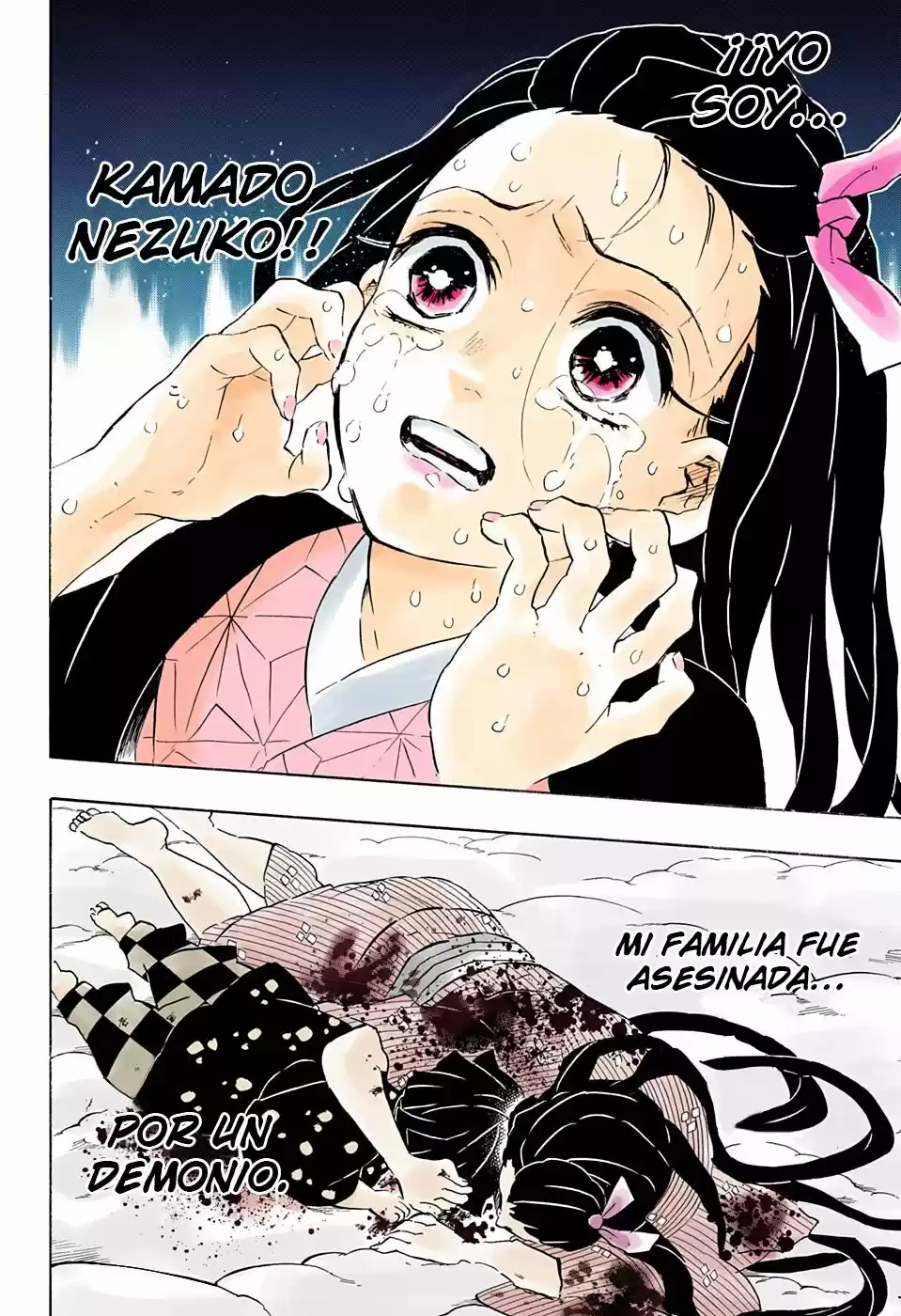 Kimetsu No Yaiba - Capítulo 196.50 - Página 13 - LectorTMOo