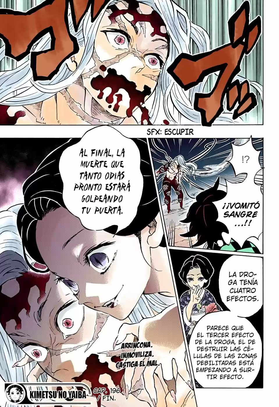 Kimetsu No Yaiba - Capítulo 196.50 - Página 20 - LectorTMOo