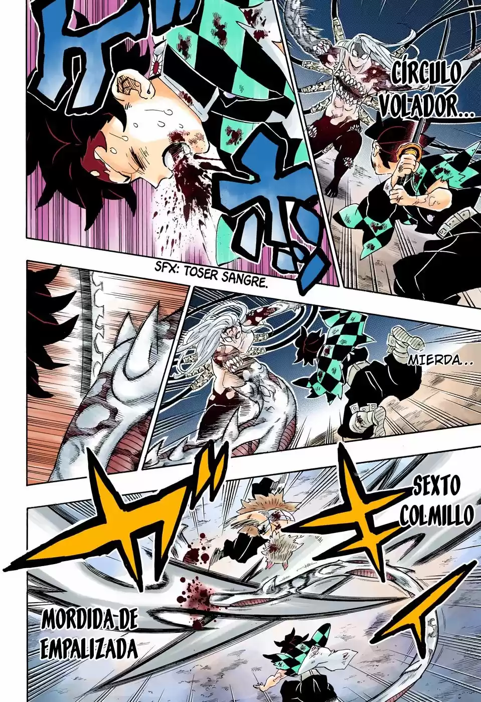 Kimetsu No Yaiba - Capítulo 198.50 - Página 9 - LectorTMOo