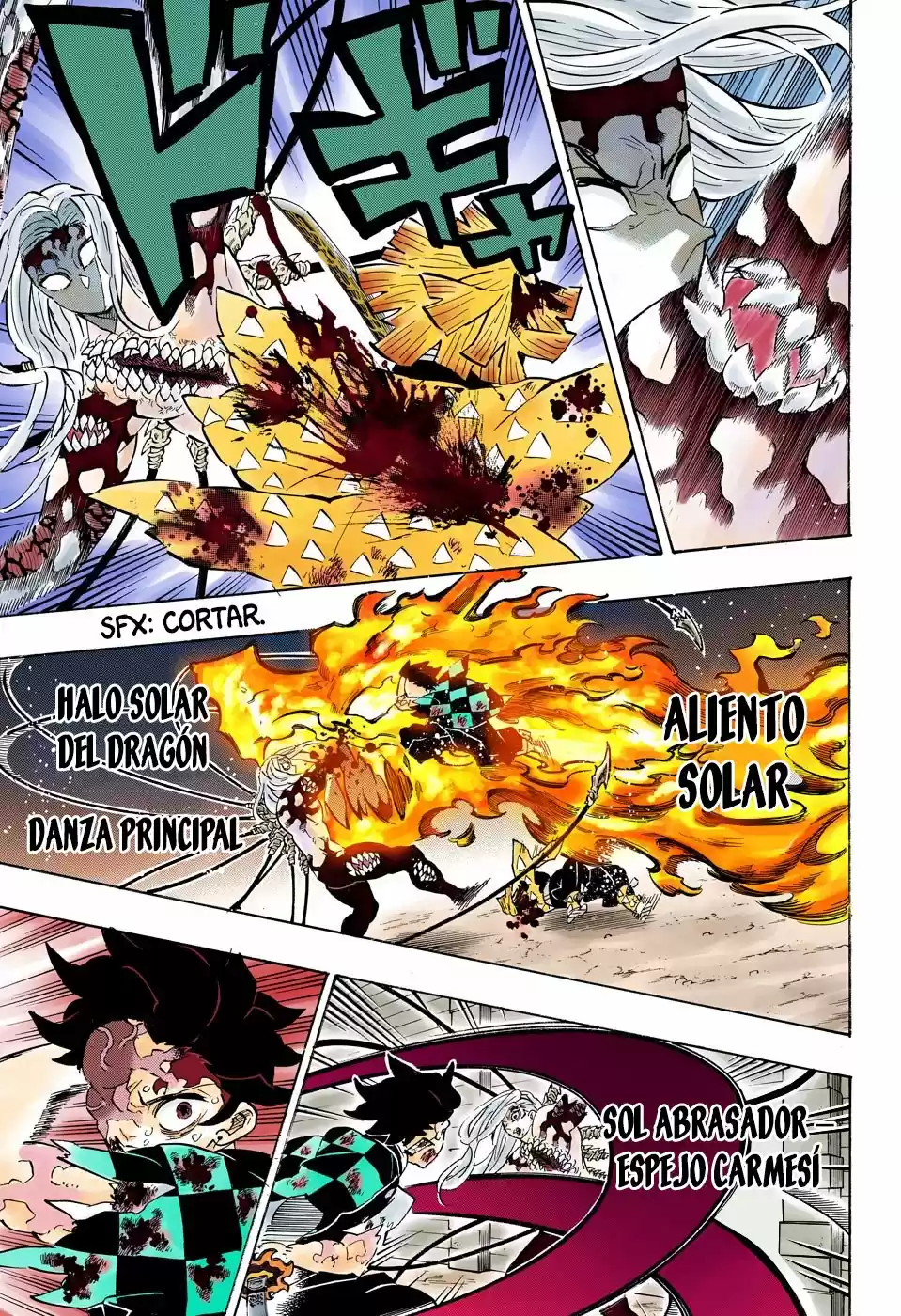 Kimetsu No Yaiba - Capítulo 198.50 - Página 14 - LectorTMOo