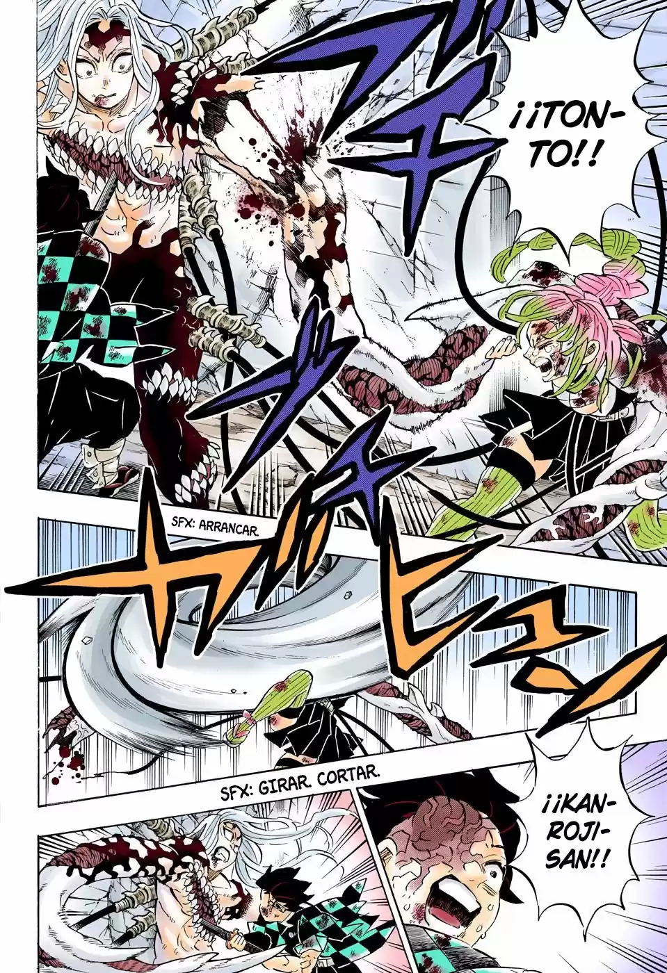 Kimetsu No Yaiba - Capítulo 198.50 - Página 17 - LectorTMOo
