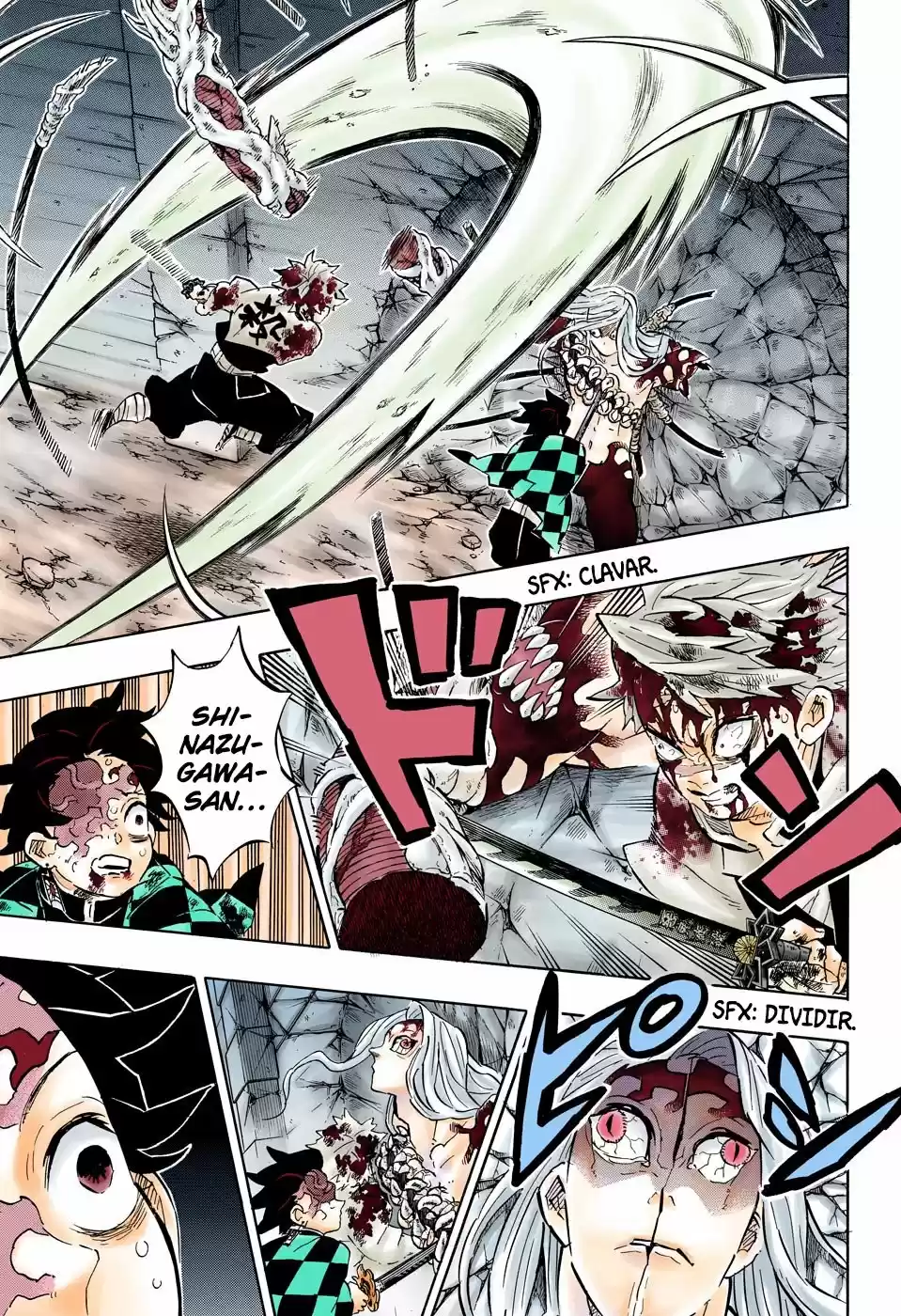 Kimetsu No Yaiba - Capítulo 198.50 - Página 18 - LectorTMOo