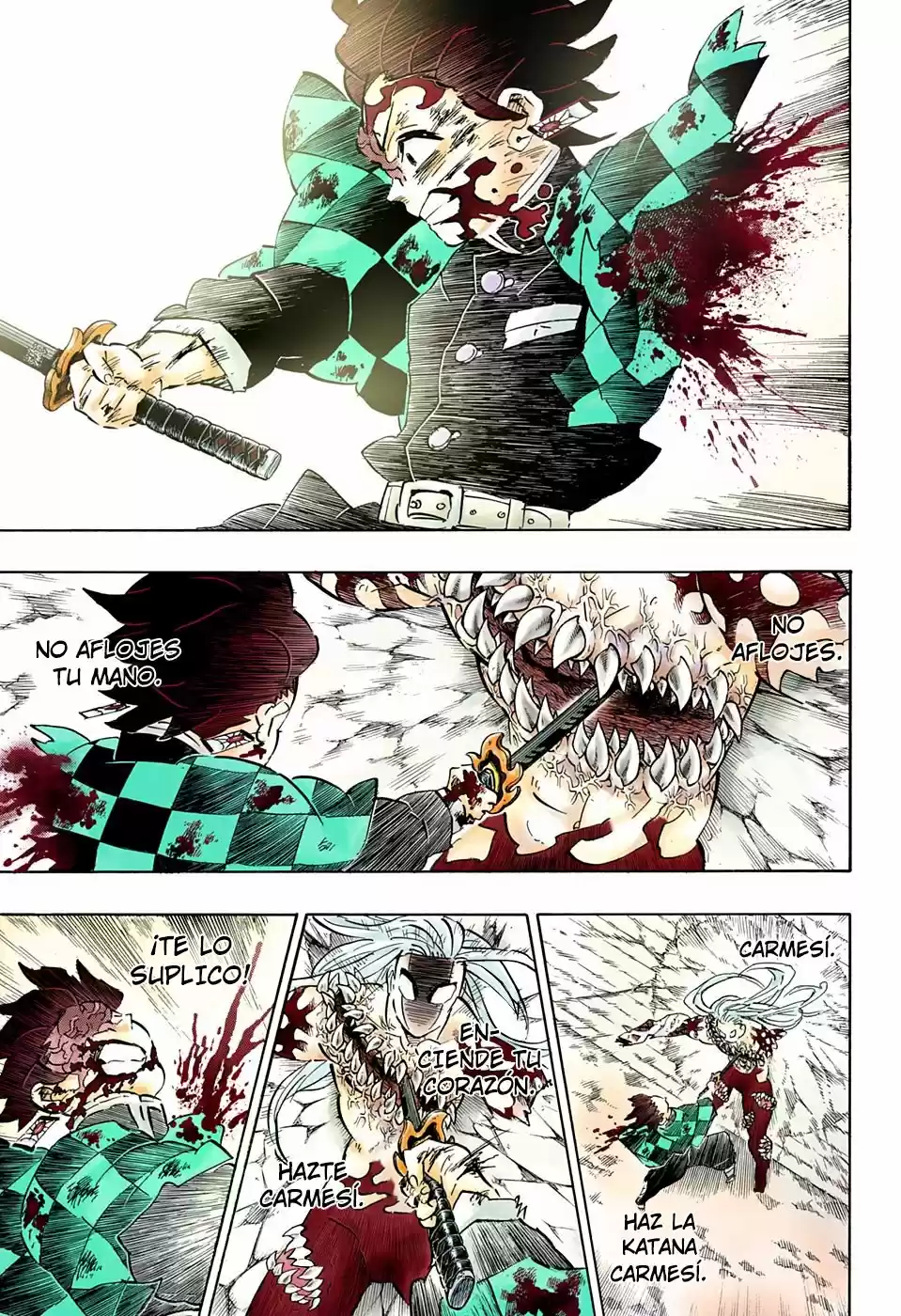 Kimetsu No Yaiba - Capítulo 199.50 - Página 4 - LectorTMOo