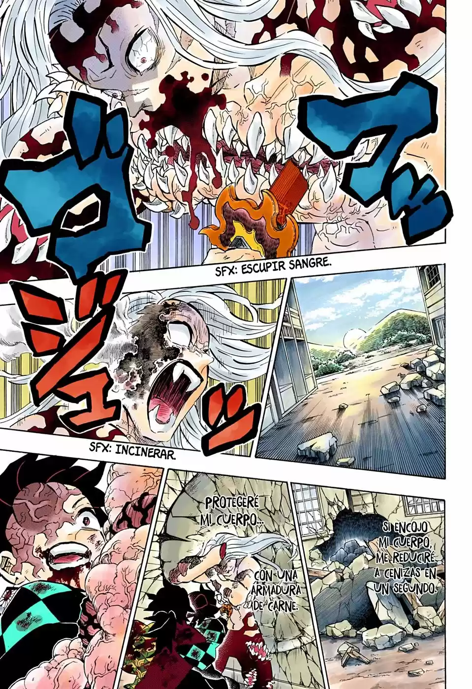 Kimetsu No Yaiba - Capítulo 199.50 - Página 6 - LectorTMOo