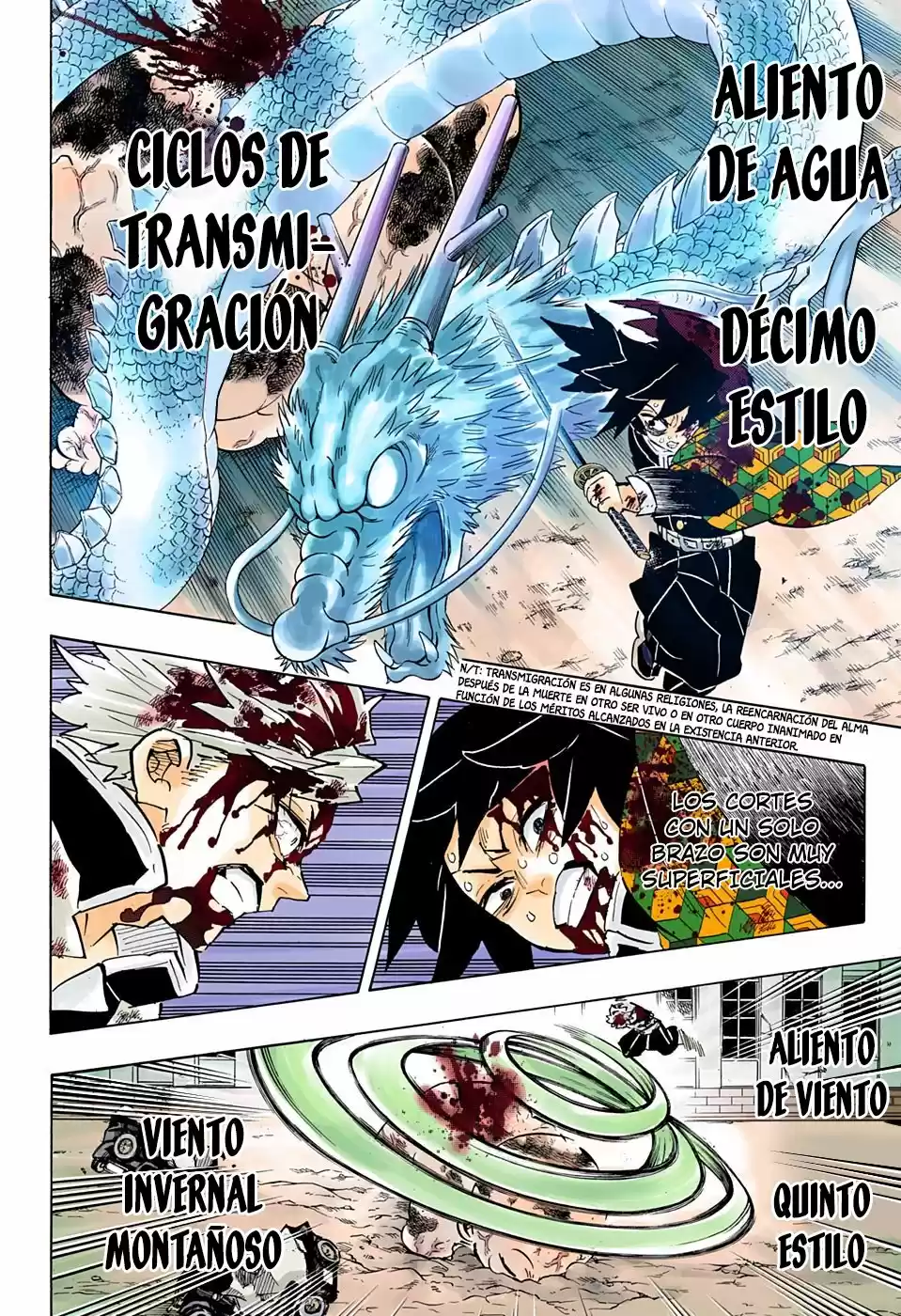 Kimetsu No Yaiba - Capítulo 199.50 - Página 17 - LectorTMOo