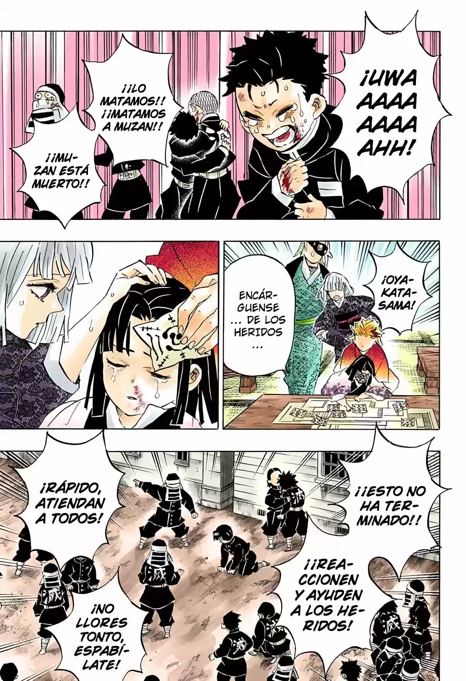 Kimetsu No Yaiba - Capítulo 200.50 - Página 9 - LectorTMOo
