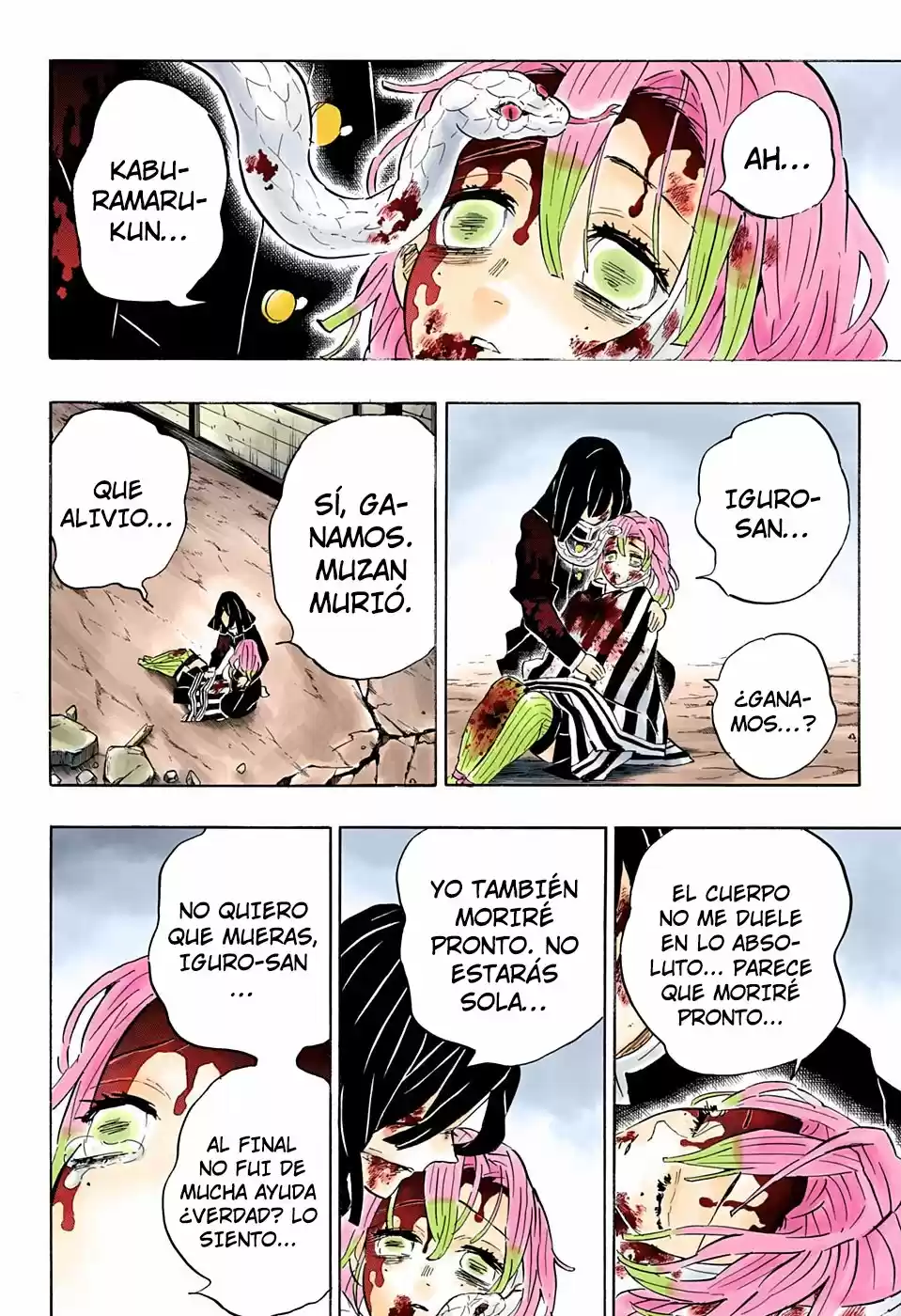 Kimetsu No Yaiba - Capítulo 200.50 - Página 14 - LectorTMOo