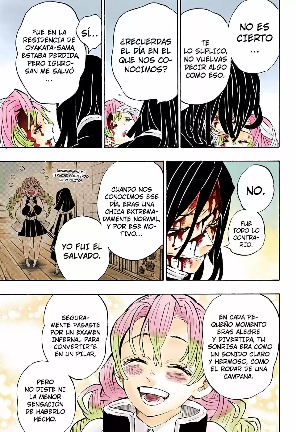 Kimetsu No Yaiba - Capítulo 200.50 - Página 15 - LectorTMOo