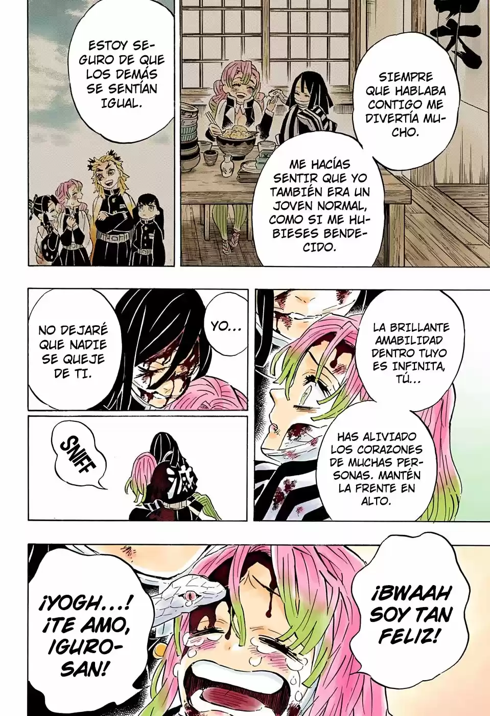 Kimetsu No Yaiba - Capítulo 200.50 - Página 16 - LectorTMOo