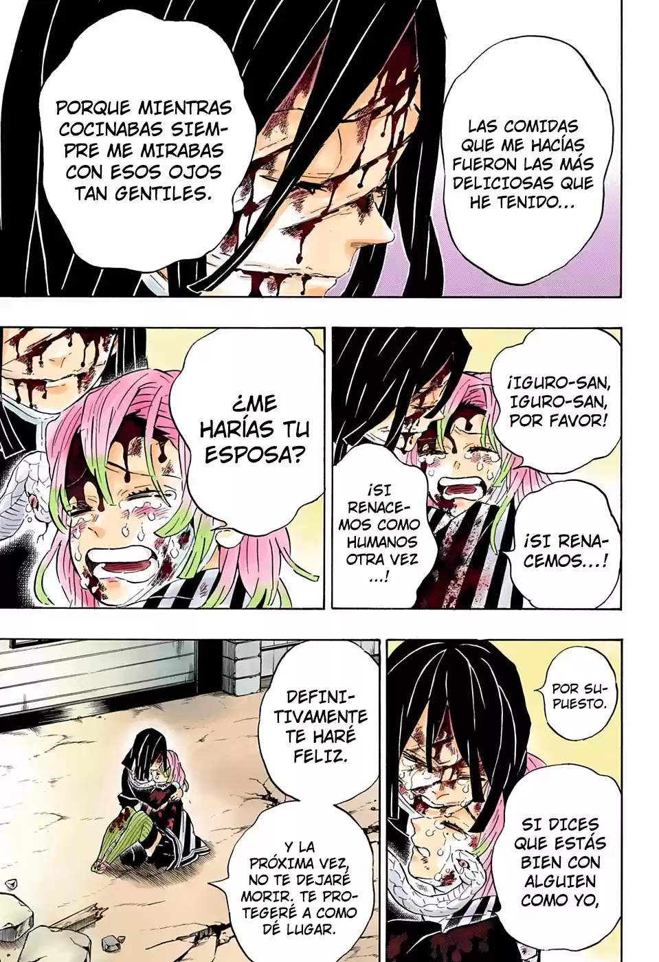 Kimetsu No Yaiba - Capítulo 200.50 - Página 17 - LectorTMOo