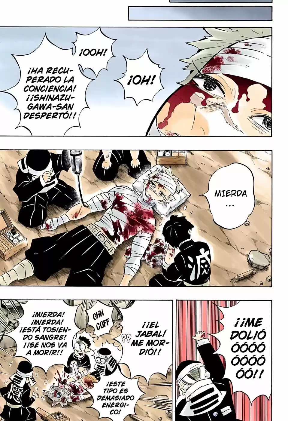 Kimetsu No Yaiba - Capítulo 200.50 - Página 21 - LectorTMOo