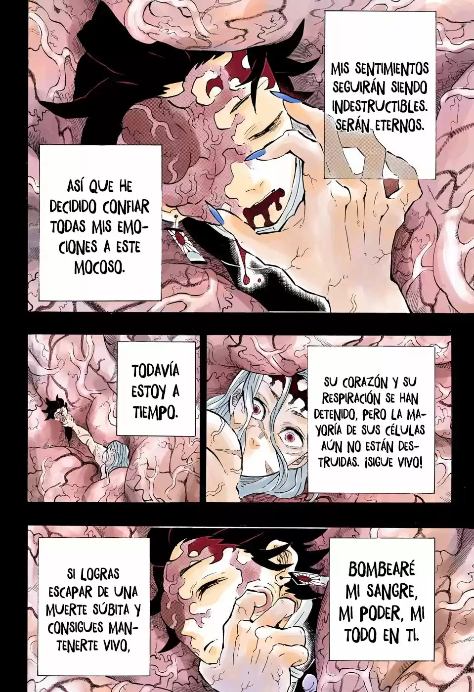Kimetsu No Yaiba - Capítulo 201.50 - Página 5 - LectorTMOo