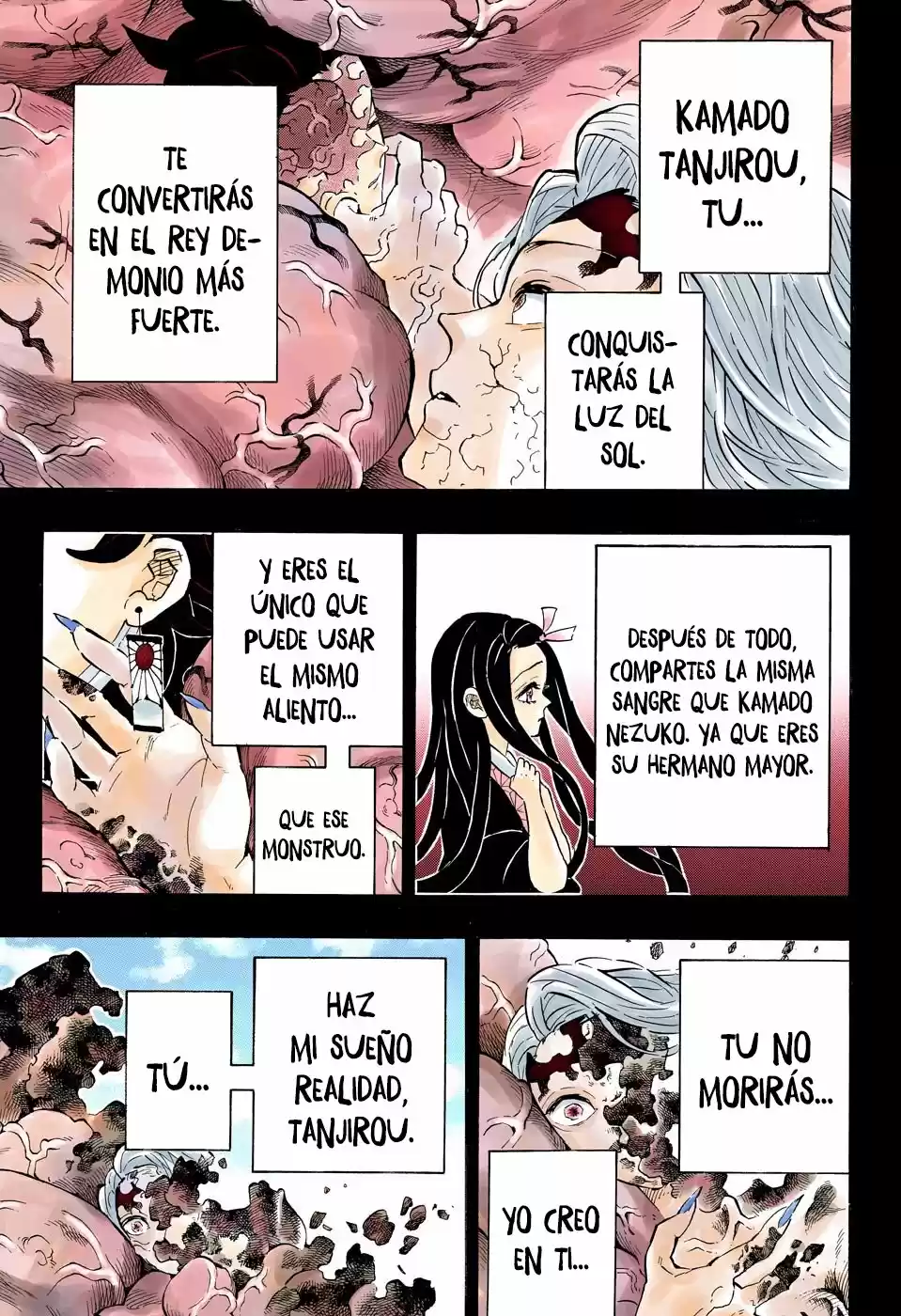 Kimetsu No Yaiba - Capítulo 201.50 - Página 6 - LectorTMOo