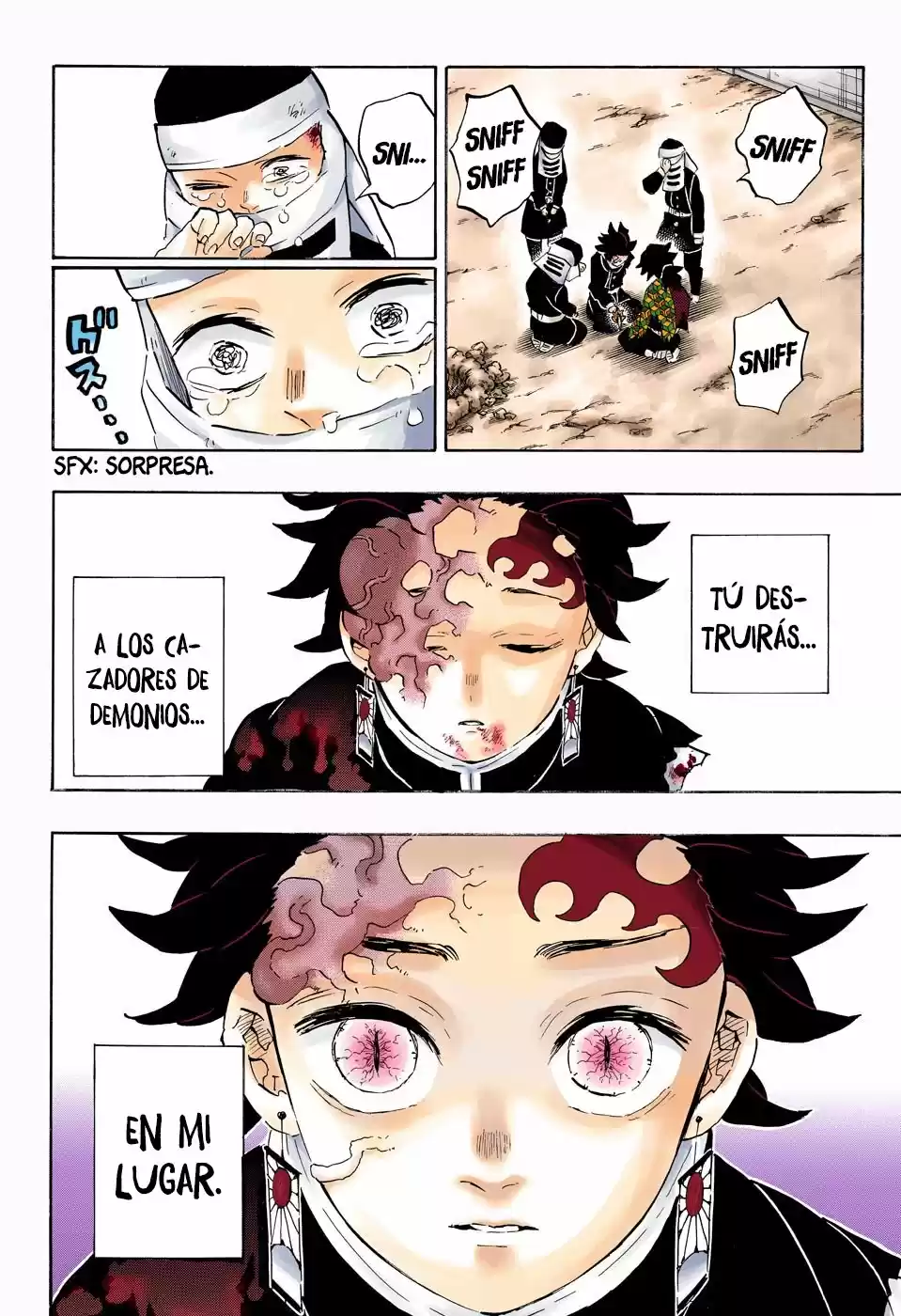 Kimetsu No Yaiba - Capítulo 201.50 - Página 7 - LectorTMOo