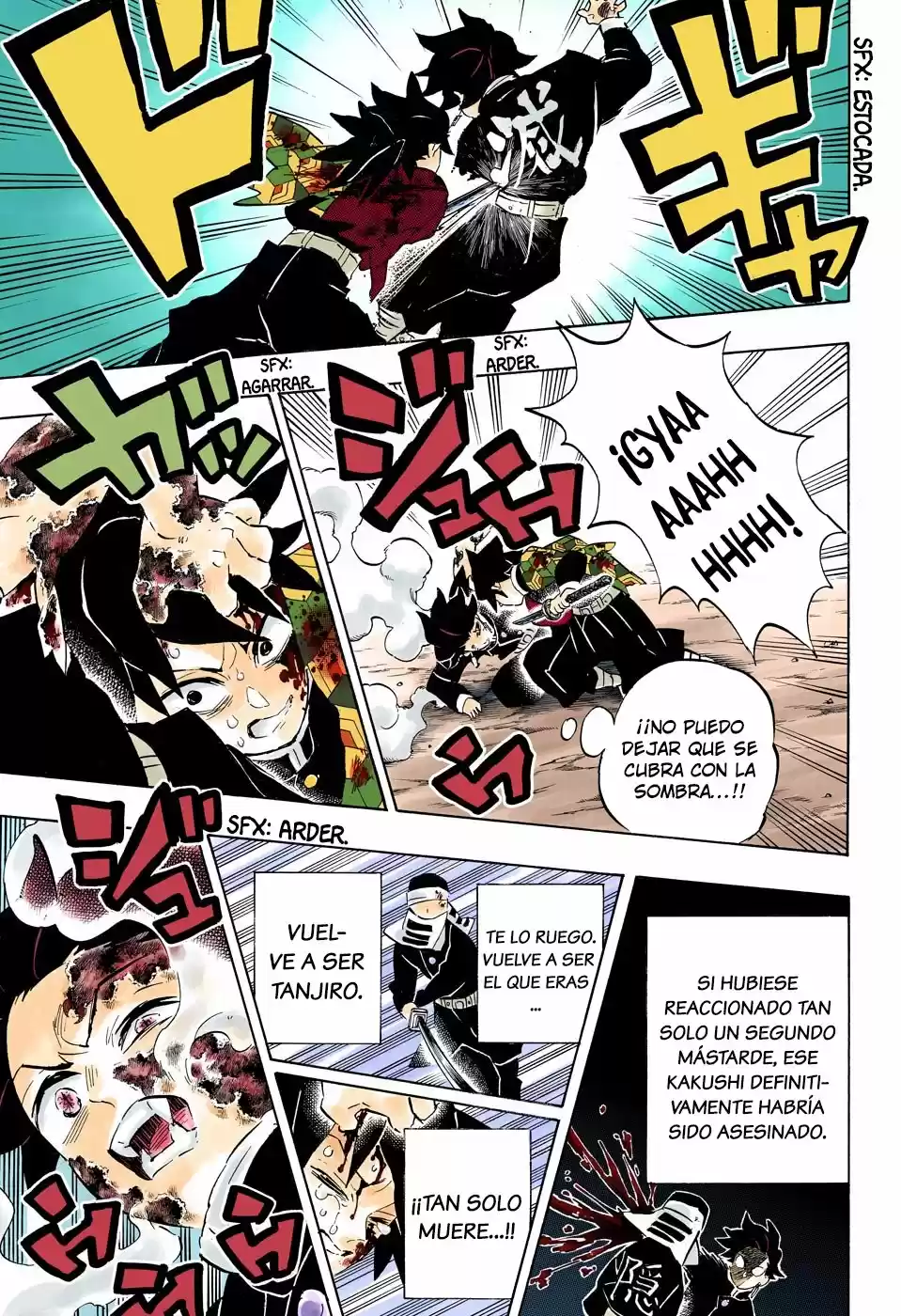 Kimetsu No Yaiba - Capítulo 201.50 - Página 14 - LectorTMOo