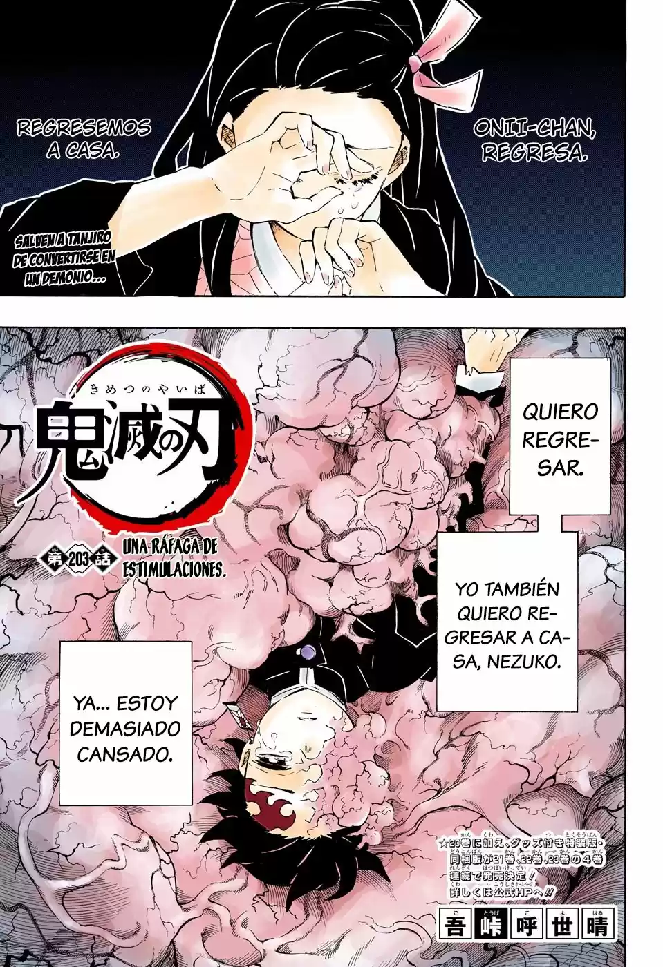 Kimetsu No Yaiba - Capítulo 203.50 - Página 2 - LectorTMOo