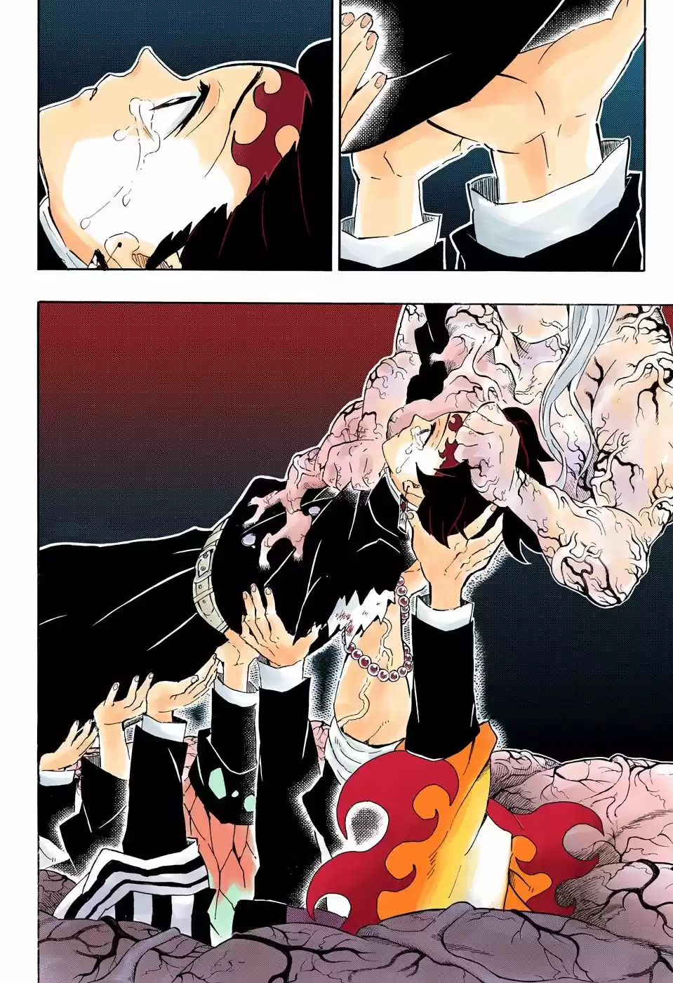 Kimetsu No Yaiba - Capítulo 203.50 - Página 8 - LectorTMOo