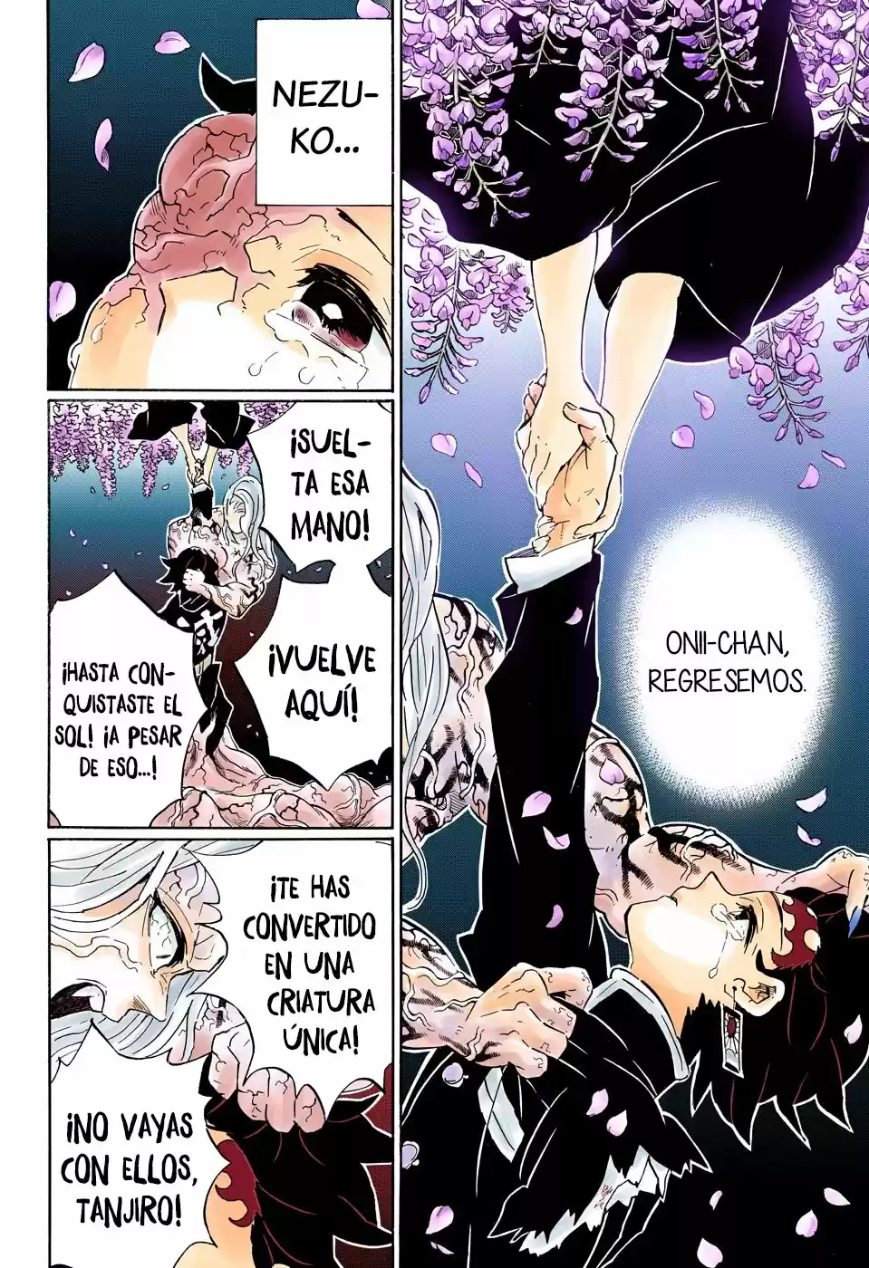 Kimetsu No Yaiba - Capítulo 203.50 - Página 9 - LectorTMOo