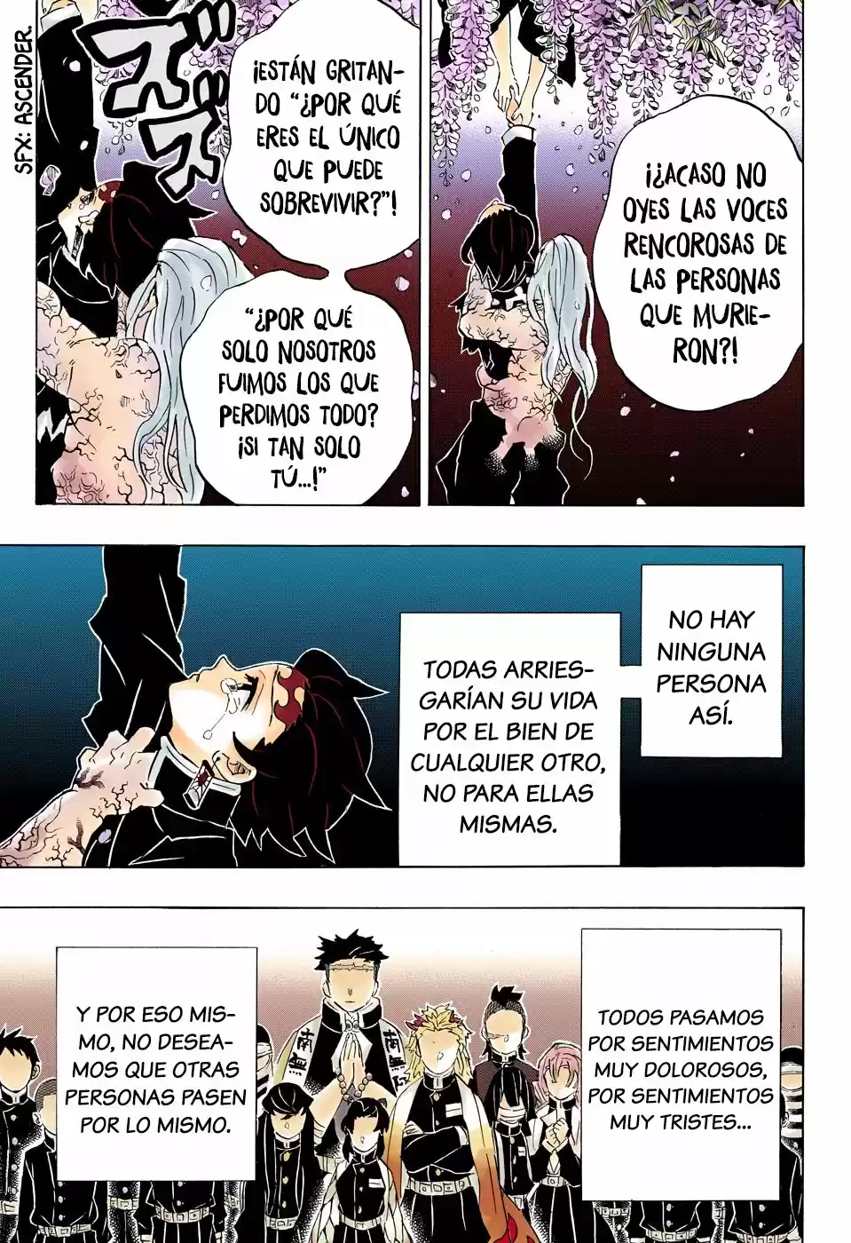 Kimetsu No Yaiba - Capítulo 203.50 - Página 10 - LectorTMOo