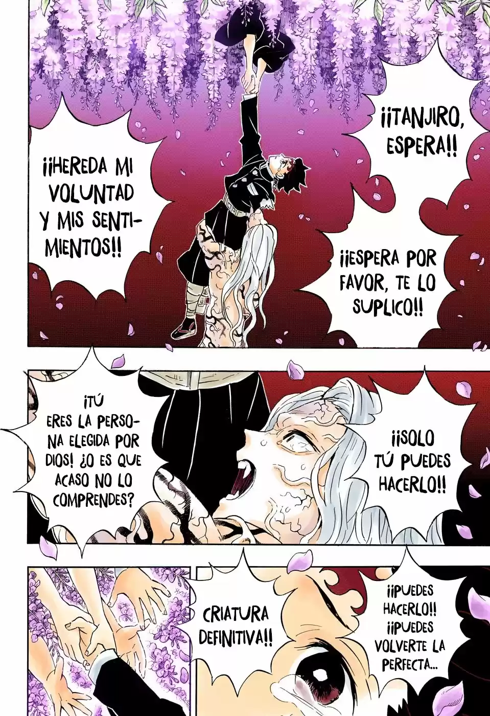 Kimetsu No Yaiba - Capítulo 203.50 - Página 11 - LectorTMOo