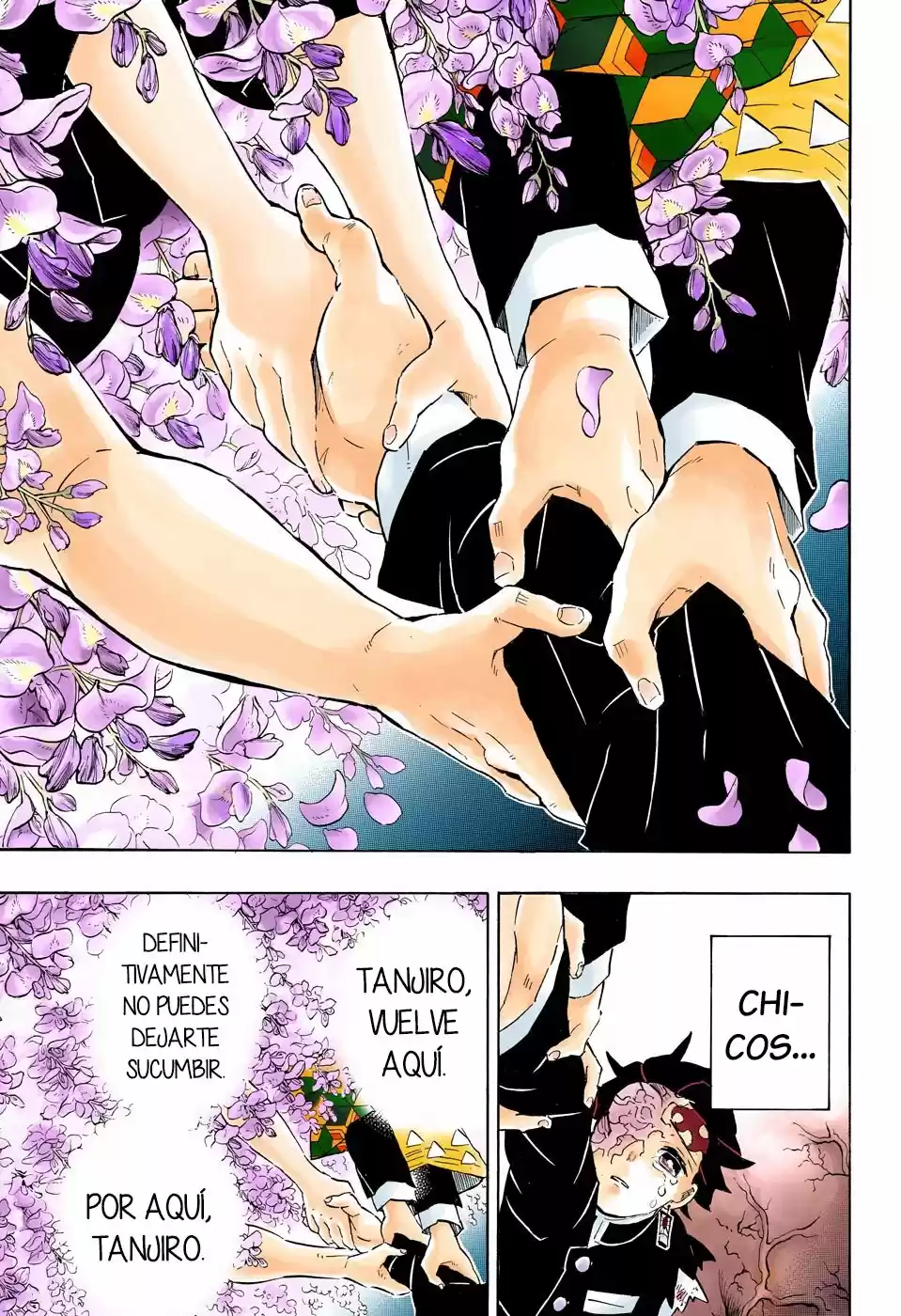 Kimetsu No Yaiba - Capítulo 203.50 - Página 12 - LectorTMOo