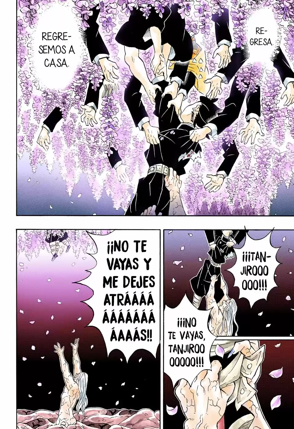 Kimetsu No Yaiba - Capítulo 203.50 - Página 13 - LectorTMOo