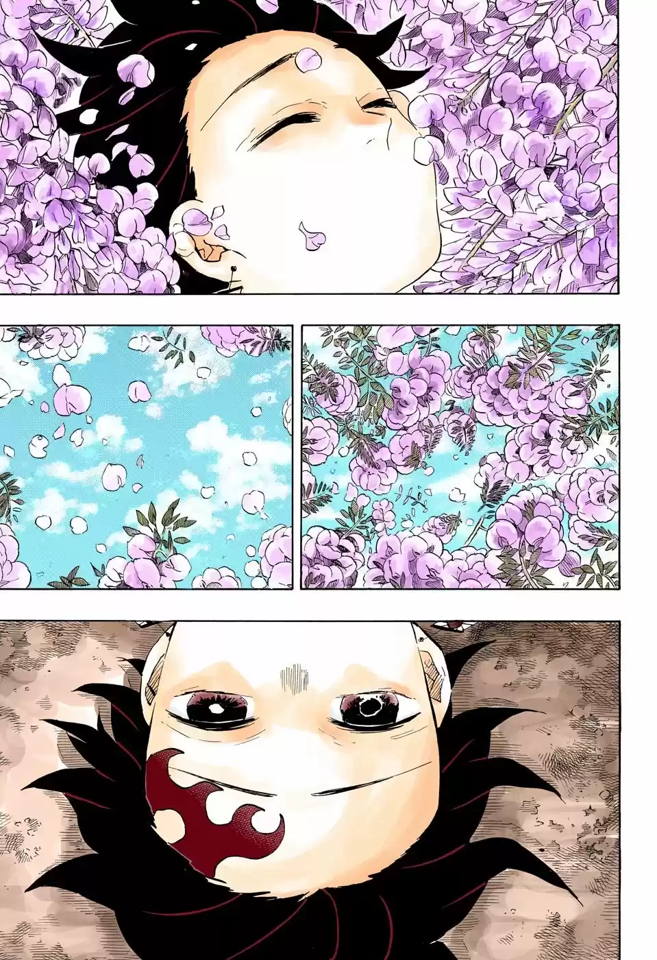 Kimetsu No Yaiba - Capítulo 203.50 - Página 14 - LectorTMOo